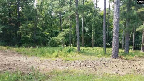 2441 N Lake Drive Columbia SC 29212