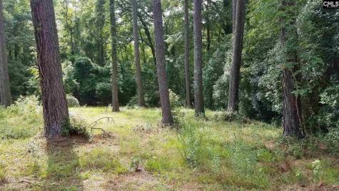 2441 N Lake Drive Columbia SC 29212