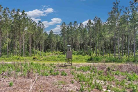 0000 N Brewington Road 3c Manning SC 29102