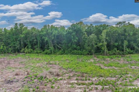 0000 N Brewington Road 3c Manning SC 29102