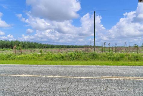0000 N Brewington Road 3c Manning SC 29102