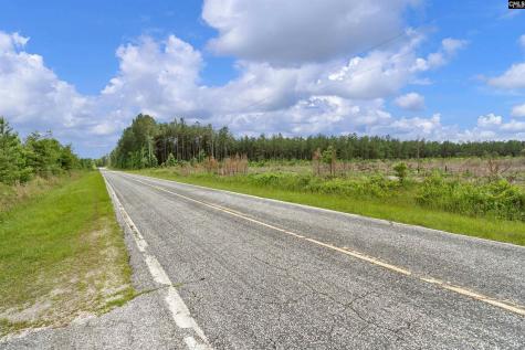 0000 N Brewington Road 3c Manning SC 29102