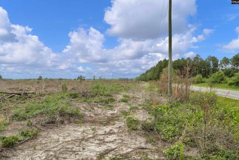 0000 N Brewington Road 3c Manning SC 29102