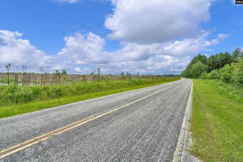 0000 N Brewington Road 3c Manning SC 29102