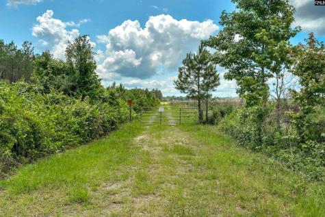 0000 N Brewington Road 3c Manning SC 29102