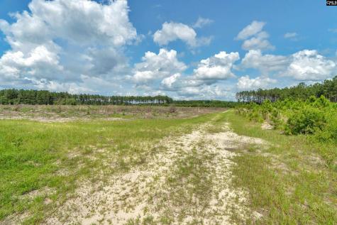 0000 N Brewington Road 3c Manning SC 29102