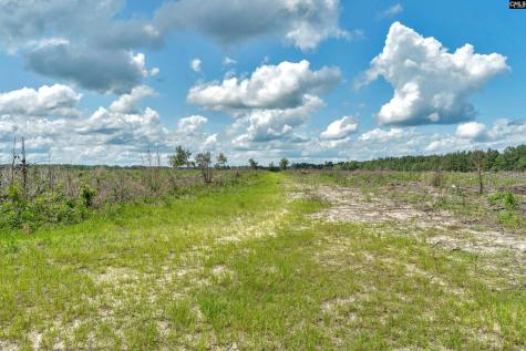 0000 N Brewington Road 3c Manning SC 29102