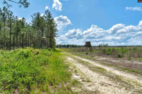 0000 N Brewington Road 3c Manning SC 29102