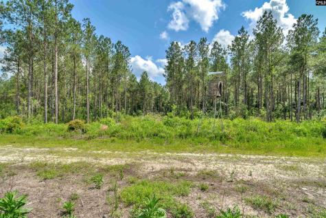 0000 N Brewington Road 3c Manning SC 29102