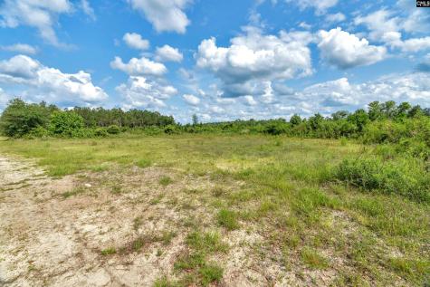 0000 N Brewington Road 3c Manning SC 29102