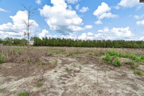 0000 N Brewington Road 3c Manning SC 29102