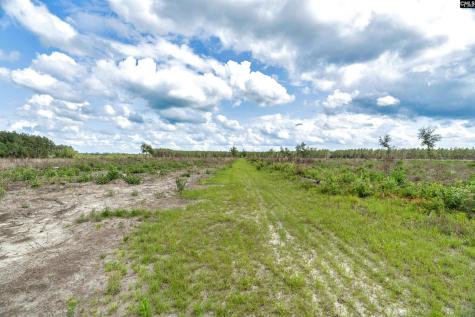 0000 N Brewington Road 3c Manning SC 29102