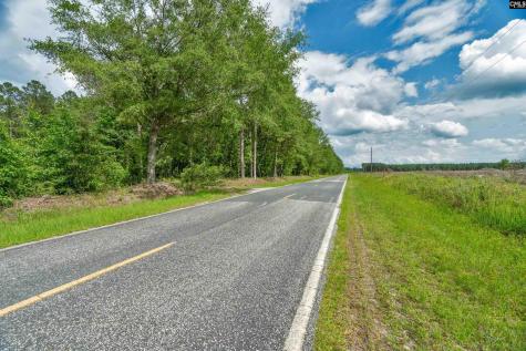 0000 N Brewington Road 3c Manning SC 29102