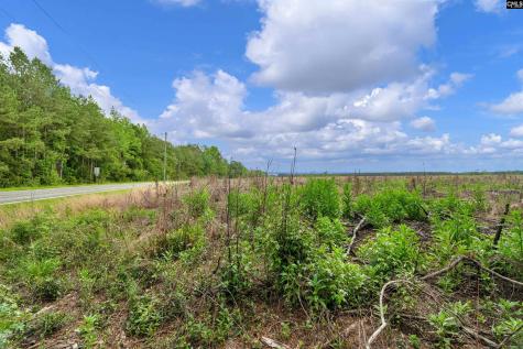 0000 N Brewington Road 3c Manning SC 29102