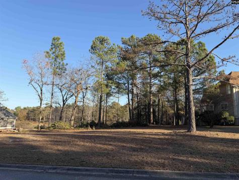 208 Crickentree Drive Blythewood SC 29016-0000