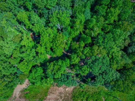 Brookhill East Lexington SC 29072