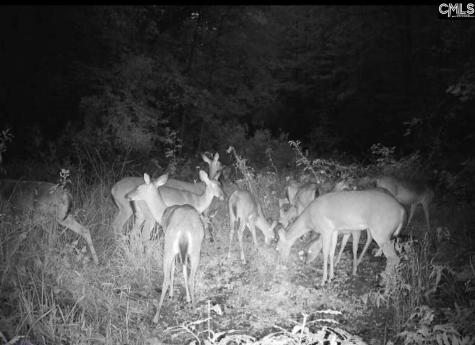 Brookhill East Lexington SC 29072