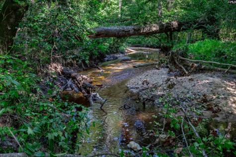 Brookhill East Lexington SC 29072