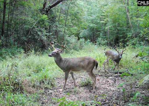 Brookhill East Lexington SC 29072