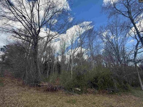 245 Slayton Street Whitmire SC 29178