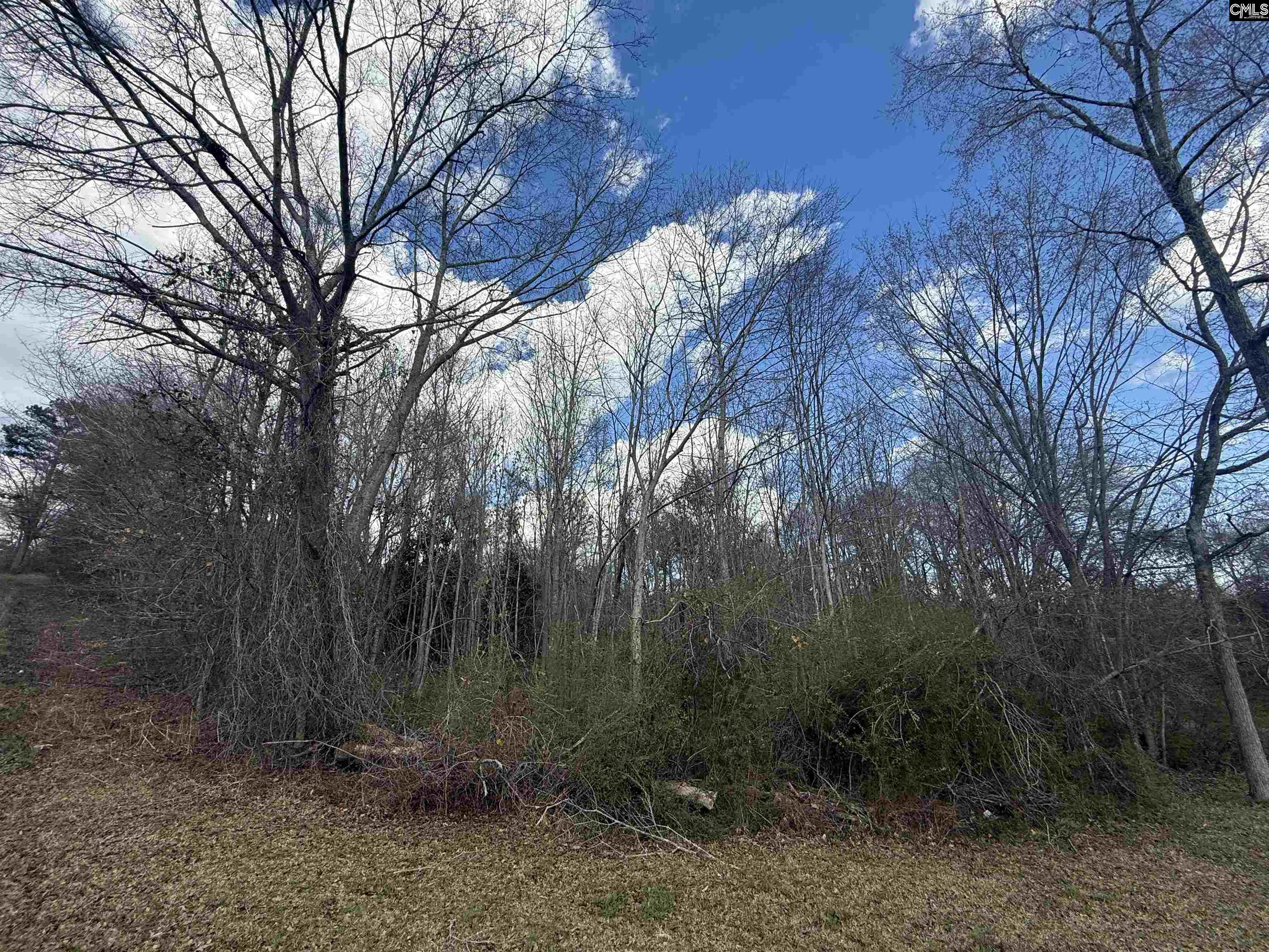 245 Slayton Street Whitmire SC 29178