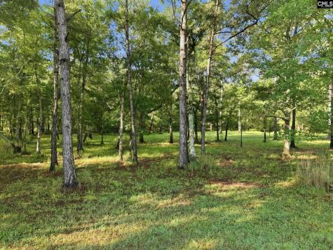 1047 Fortview Road Other SC 29453