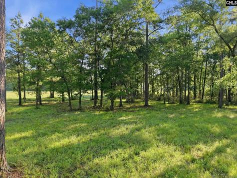 1047 Fortview Road Other SC 29453