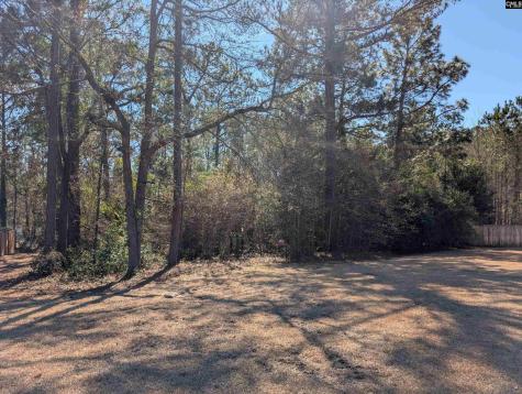 124 Sanibel Circle Columbia SC 29223