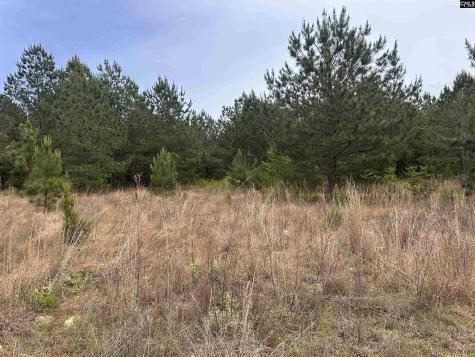 Tract 3 Patrick Highway Hartsville SC 29550