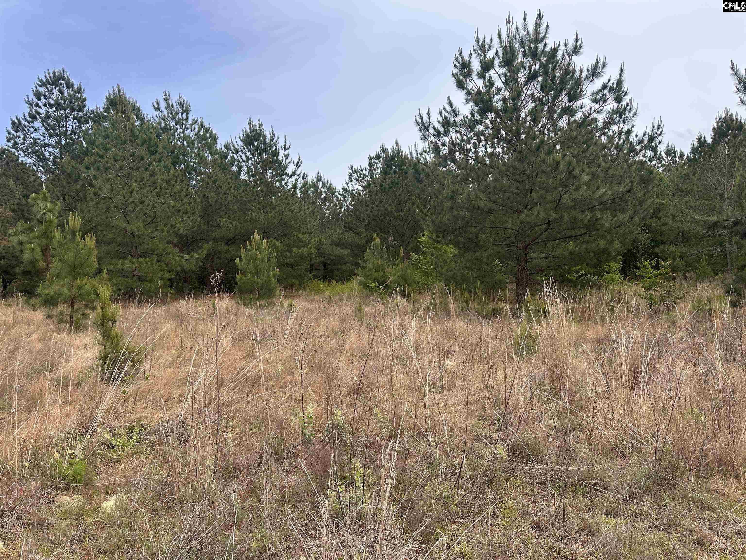 Tract 3 Patrick Highway Hartsville SC 29550