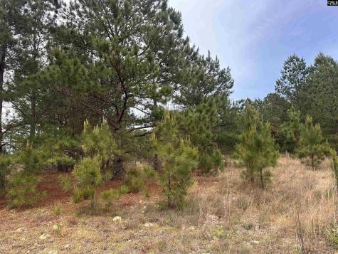 Tract 3 Patrick Highway Hartsville SC 29550