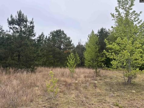 Tract 3 Patrick Highway Hartsville SC 29550
