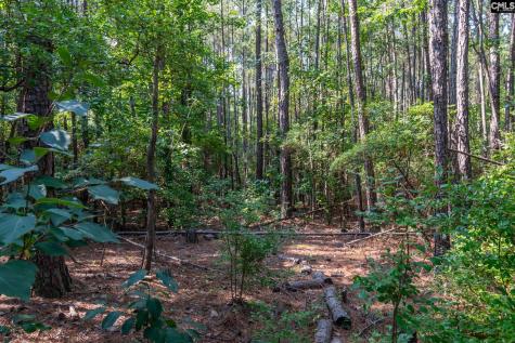 1633 Old Stagecoach Road Camden SC 29020