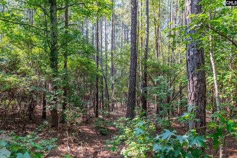 1633 Old Stagecoach Road Camden SC 29020
