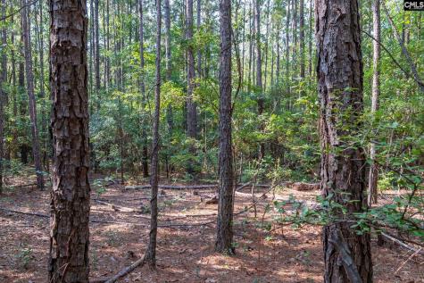 1633 Old Stagecoach Road Camden SC 29020