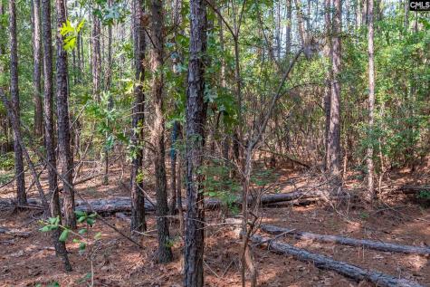 1633 Old Stagecoach Road Camden SC 29020