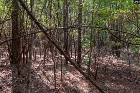 1633 Old Stagecoach Road Camden SC 29020