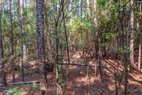 1633 Old Stagecoach Road Camden SC 29020