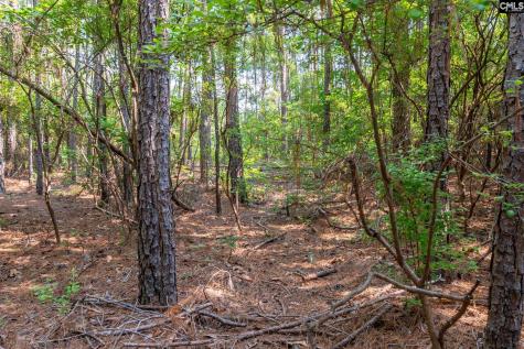1633 Old Stagecoach Road Camden SC 29020