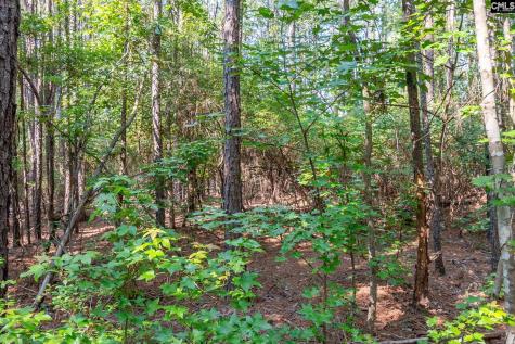 1633 Old Stagecoach Road Camden SC 29020