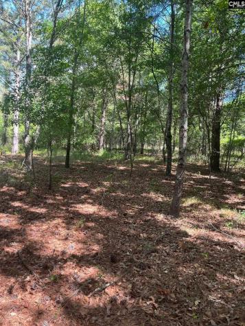 Sda 7 Salley Road Salley SC 29137