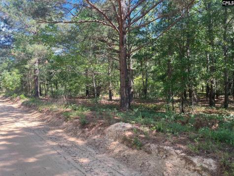 Sda 7 Salley Road Salley SC 29137