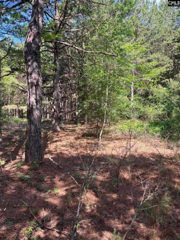 Sda 7 Salley Road Salley SC 29137