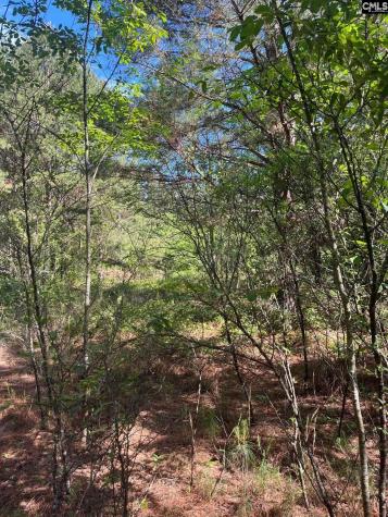 Sda 7 Salley Road Salley SC 29137