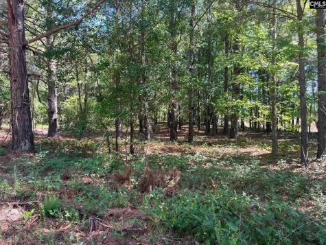Sda 7 Salley Road Salley SC 29137
