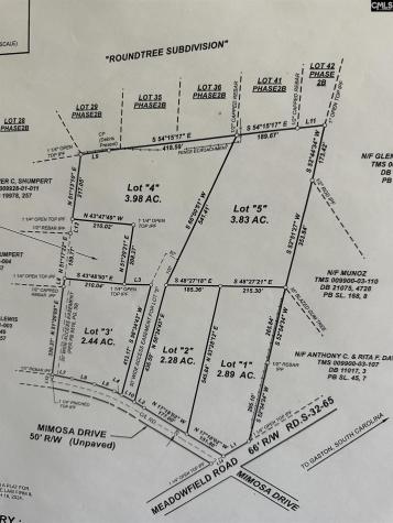 223 Mimosa Drive Gaston SC 29053