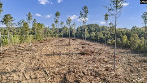 0 Fruit Hill Road Saluda SC 29138-0000