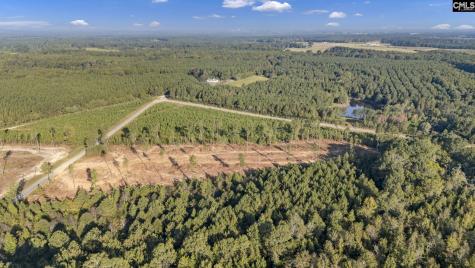 0 Fruit Hill Road Saluda SC 29138-0000