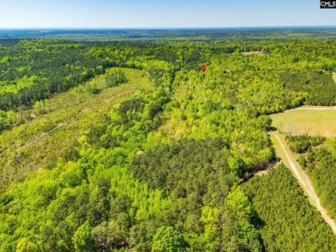 Black River Road Rembert SC 29128