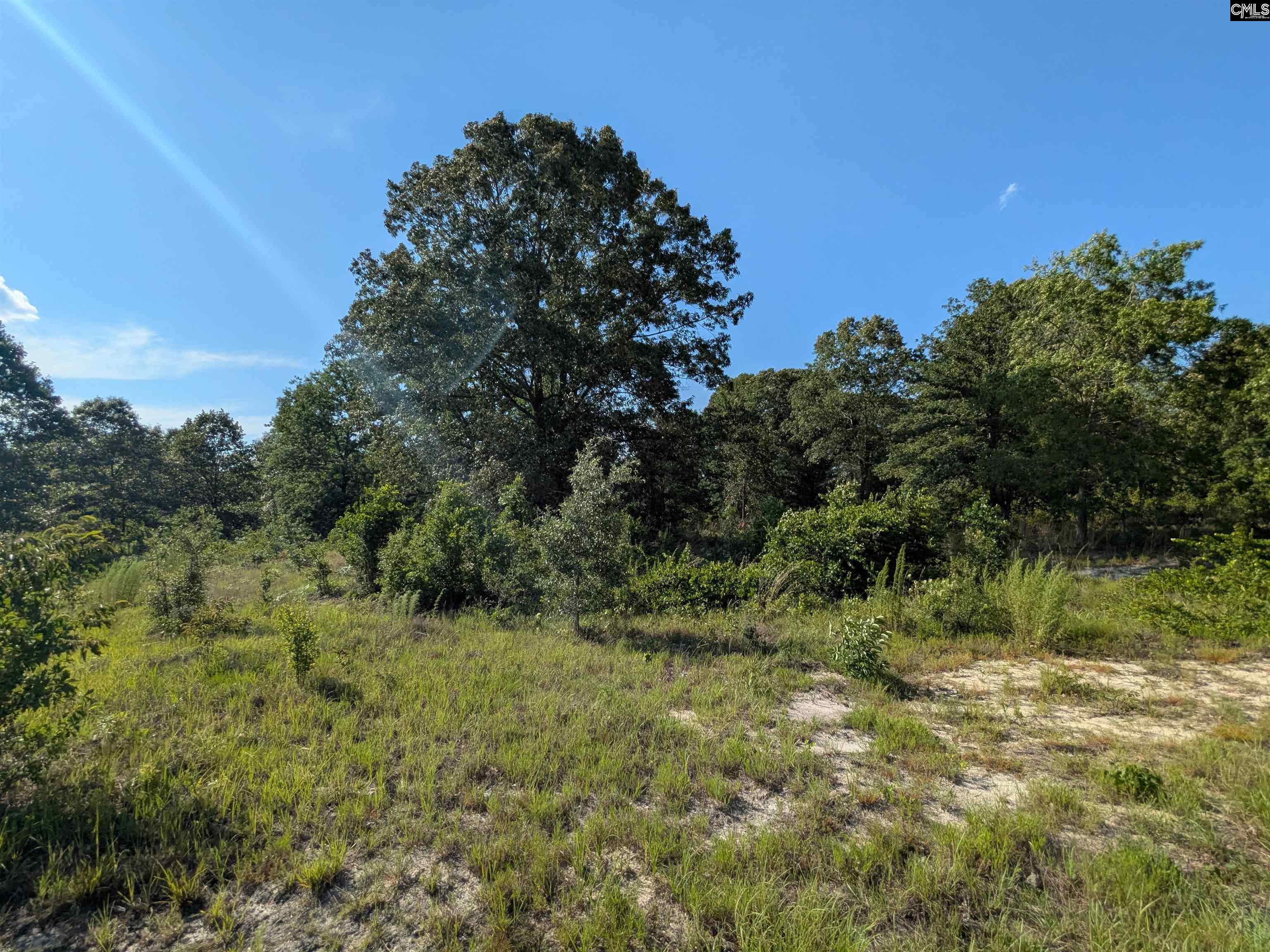 Hound Hollow Road Camden SC 29020